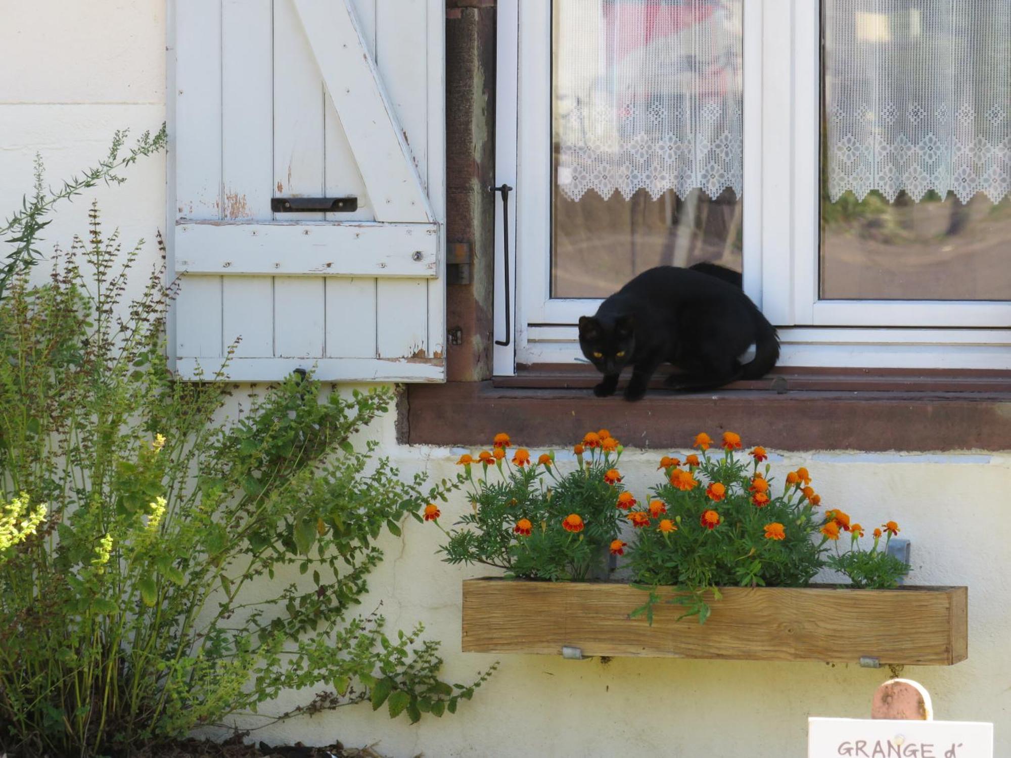 Grange D'Anjeux Bed & Breakfast Zewnętrze zdjęcie